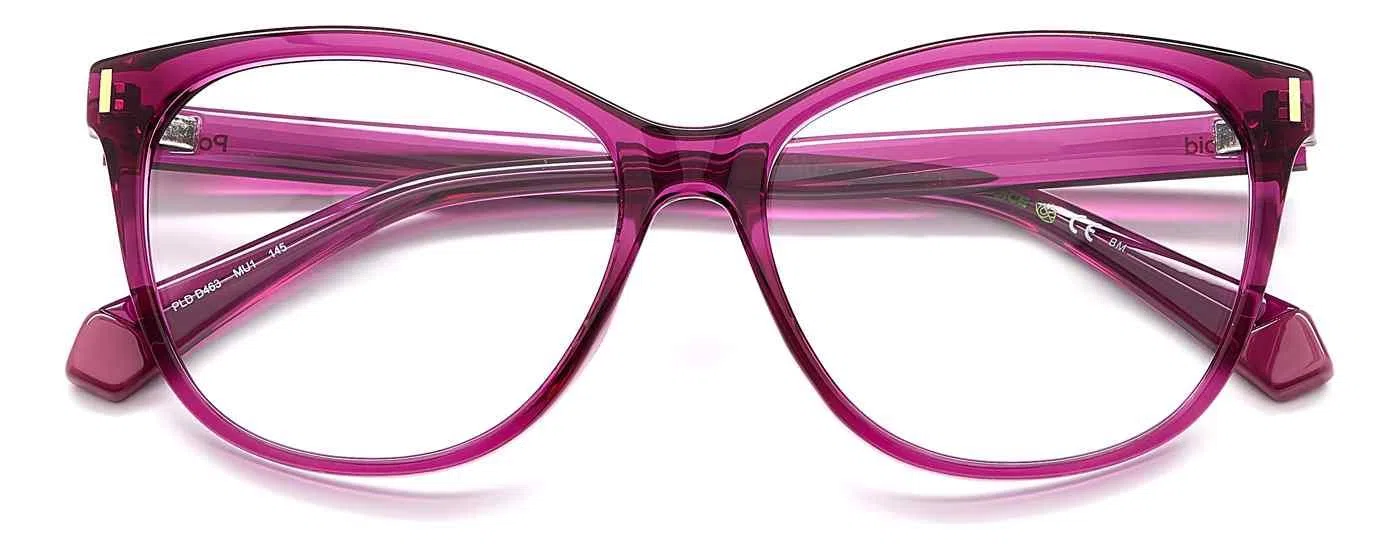 Polaroid Core PLDD463 Eyeglasses - view 11